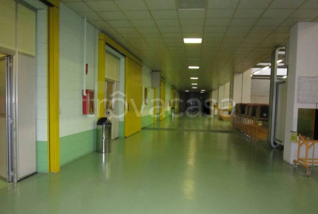 immagine annuncio 7 di 12