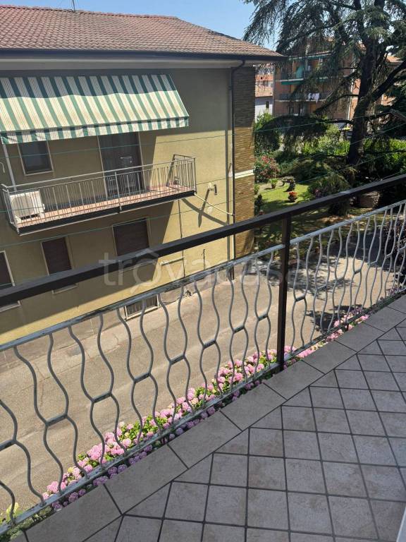 immagine annuncio 7 di 14