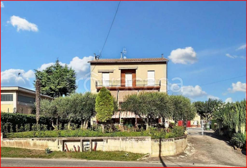 immagine annuncio 2 di 12