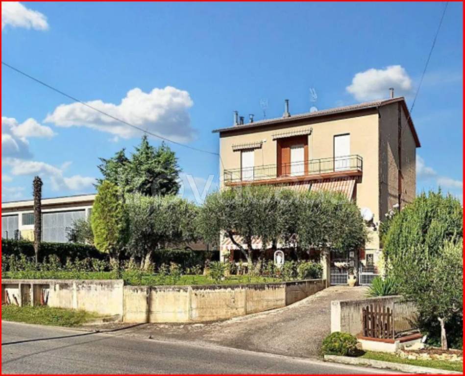 immagine annuncio 3 di 12