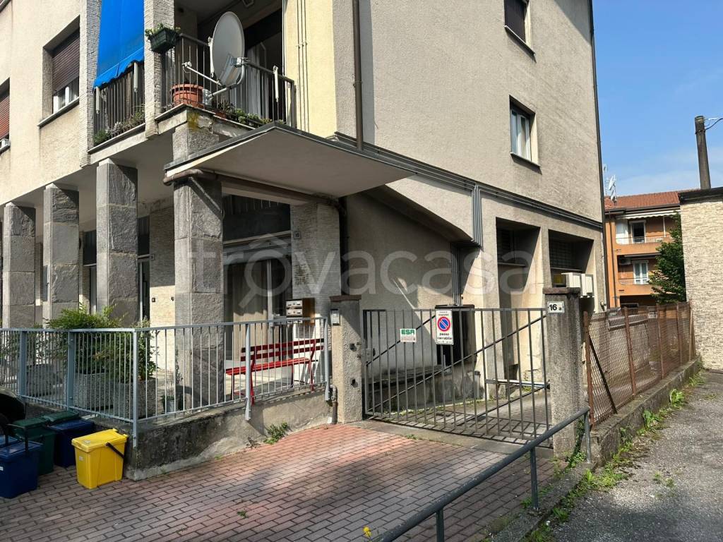 immagine annuncio 1 di 15
