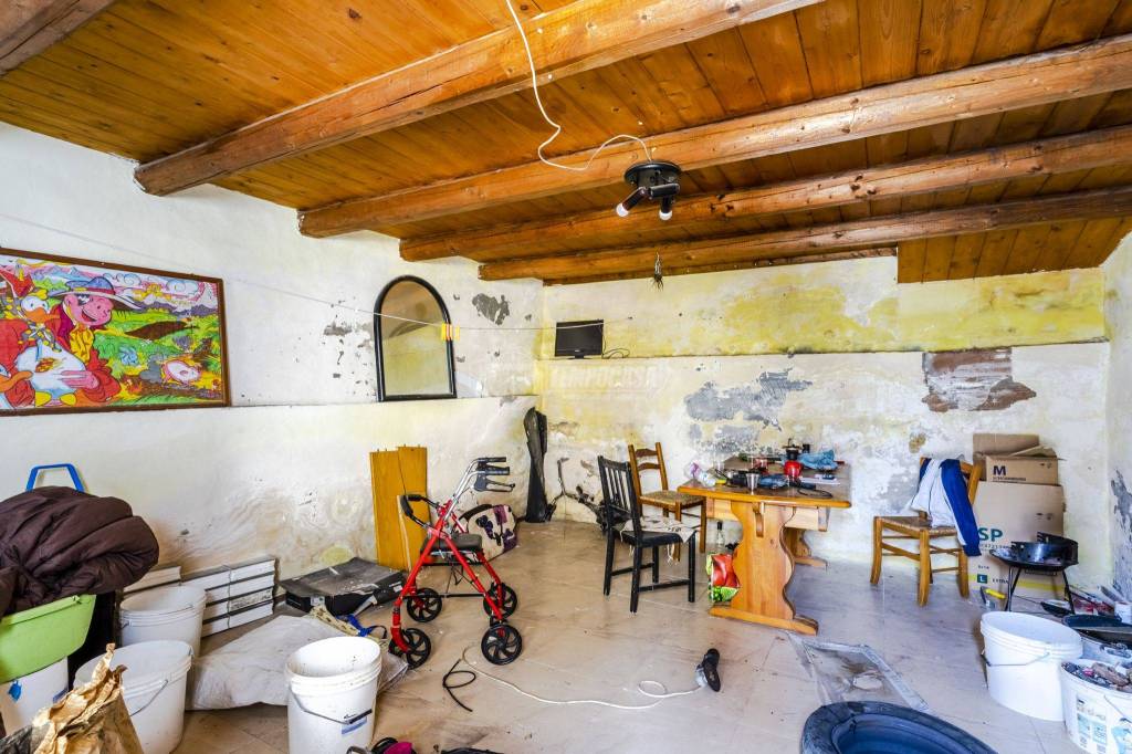 immagine annuncio 3 di 14