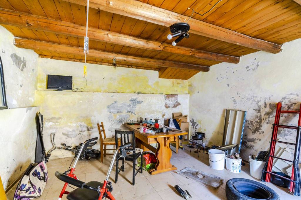 immagine annuncio 5 di 14