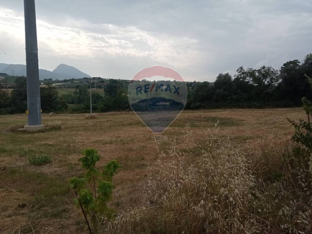 immagine annuncio 4 di 6