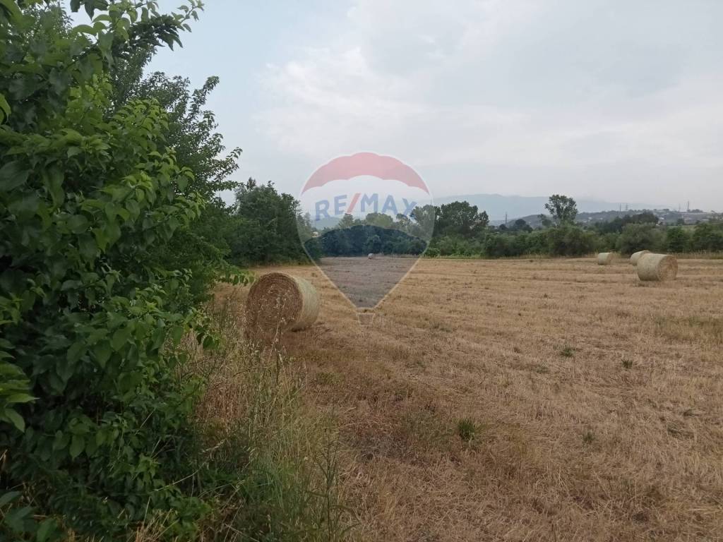 immagine annuncio 5 di 6