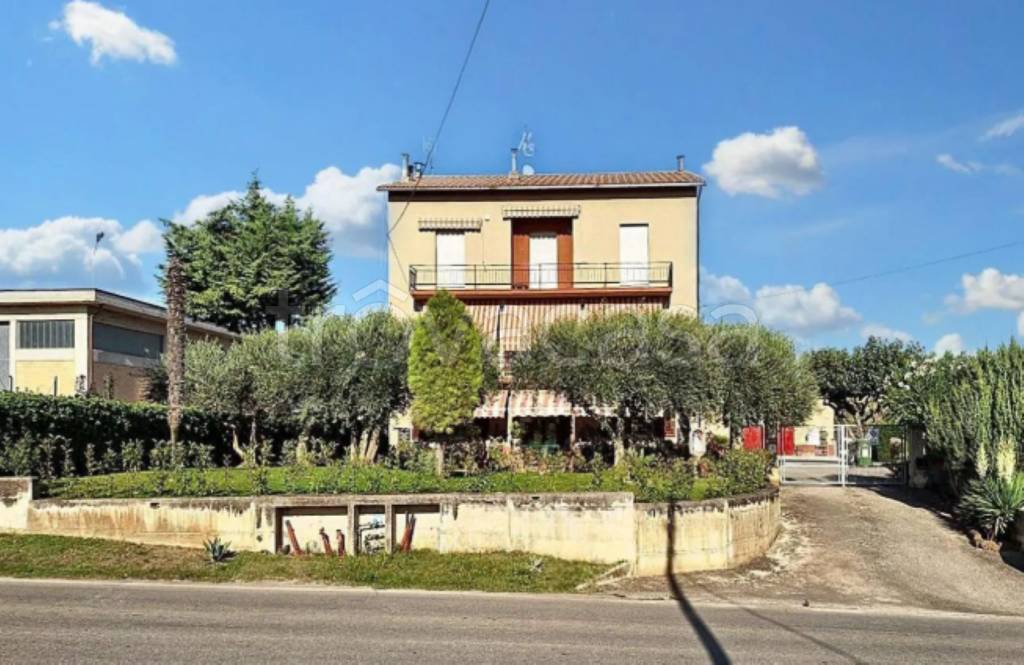 immagine annuncio 5 di 12