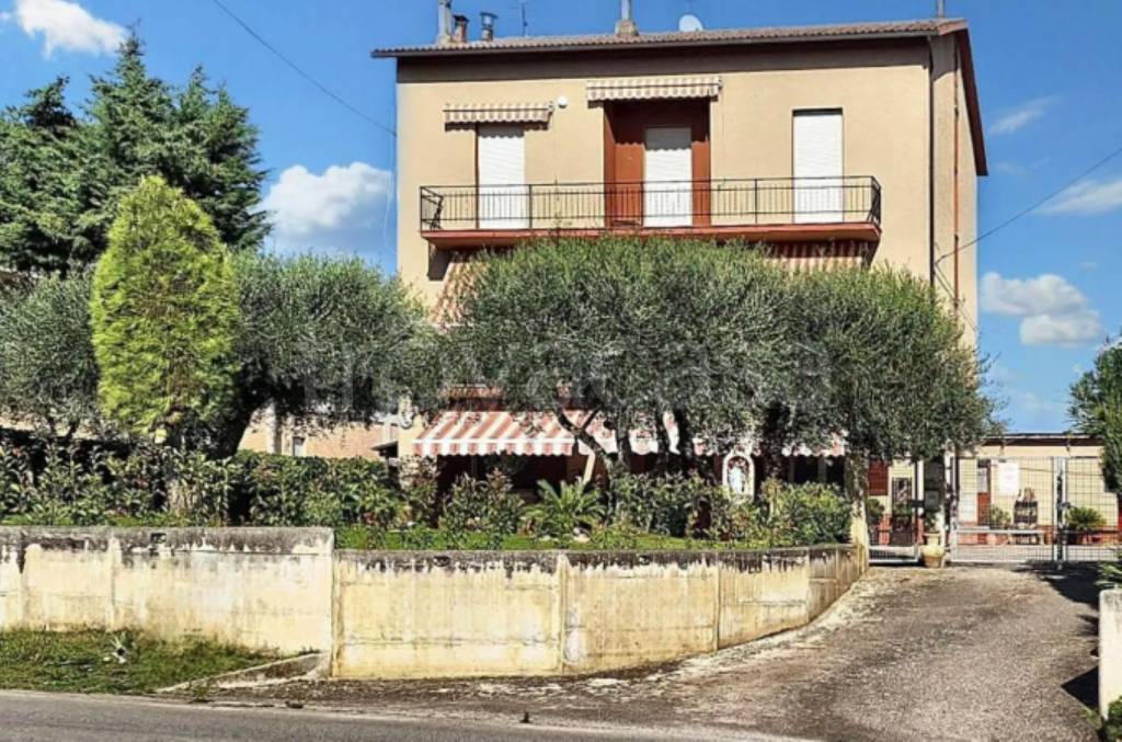 immagine annuncio 9 di 12