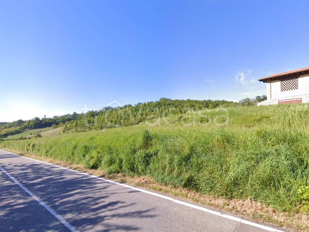 immagine annuncio 3 di 7