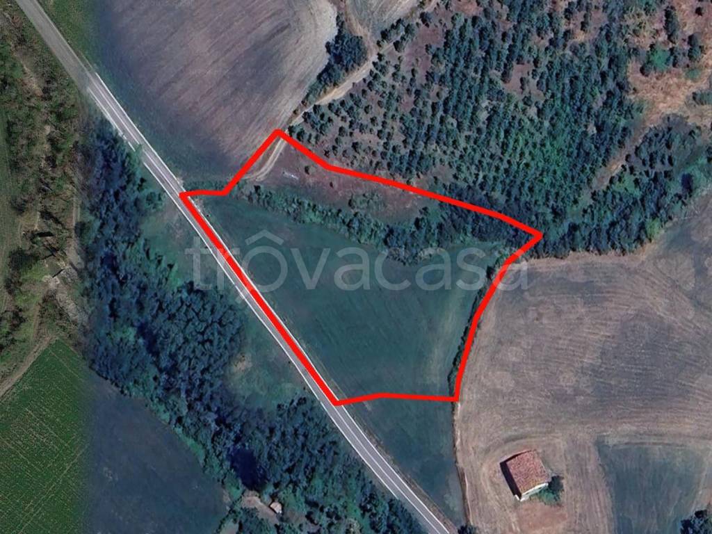 immagine annuncio 4 di 7