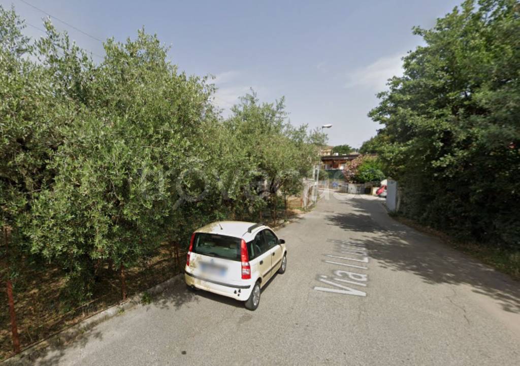immagine annuncio 5 di 11