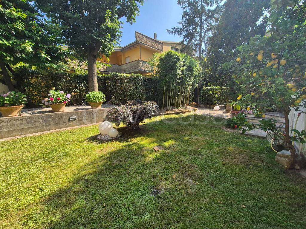 immagine annuncio 9 di 15