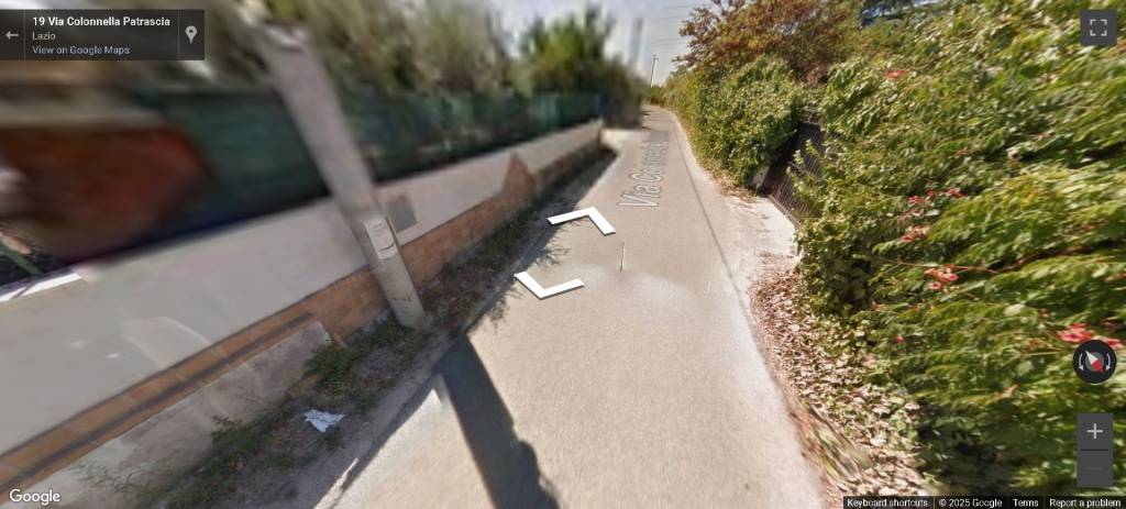 immagine annuncio 9 di 12