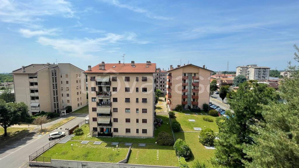 immagine annuncio 9 di 15