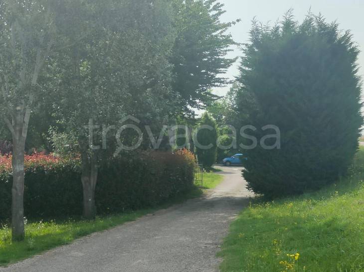 immagine annuncio 4 di 9