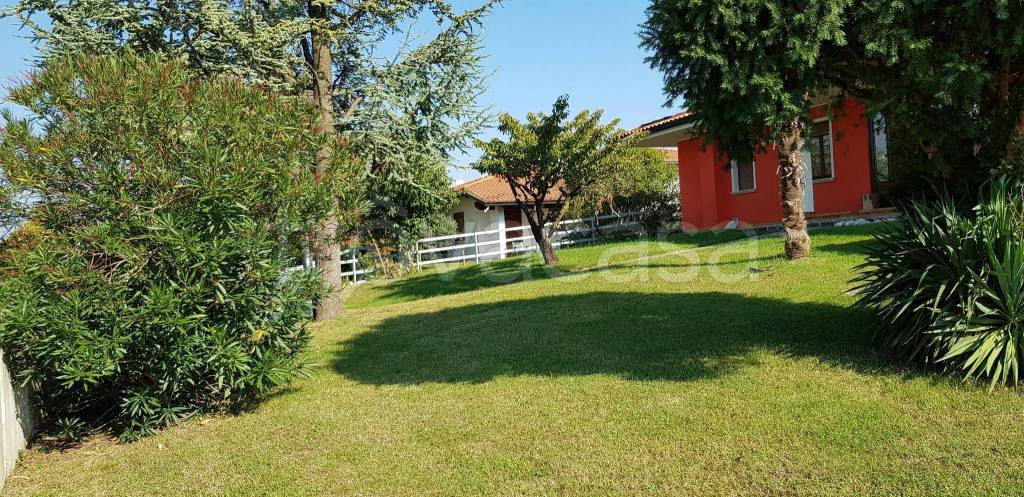 immagine annuncio 11 di 15