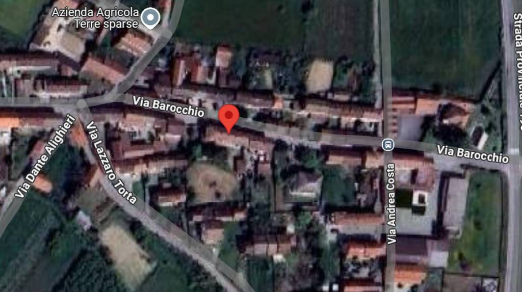 immagine annuncio 2 di 13