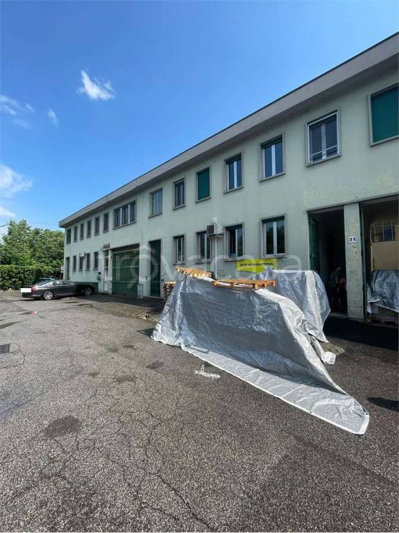 immagine annuncio 7 di 10