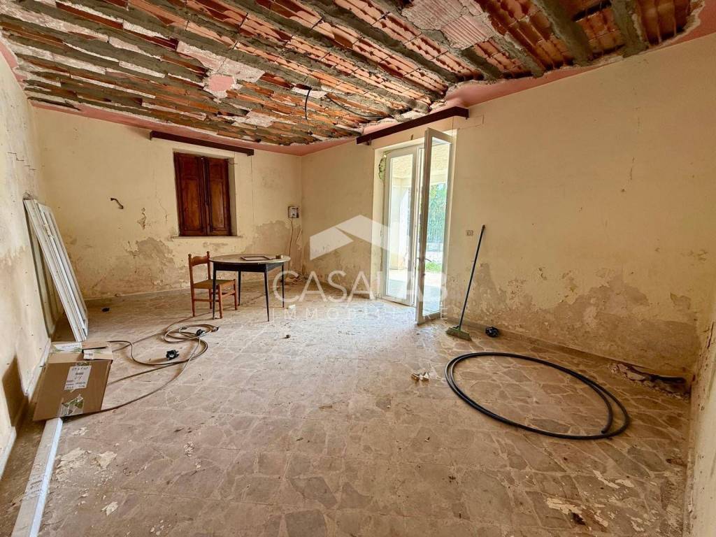immagine annuncio 4 di 12