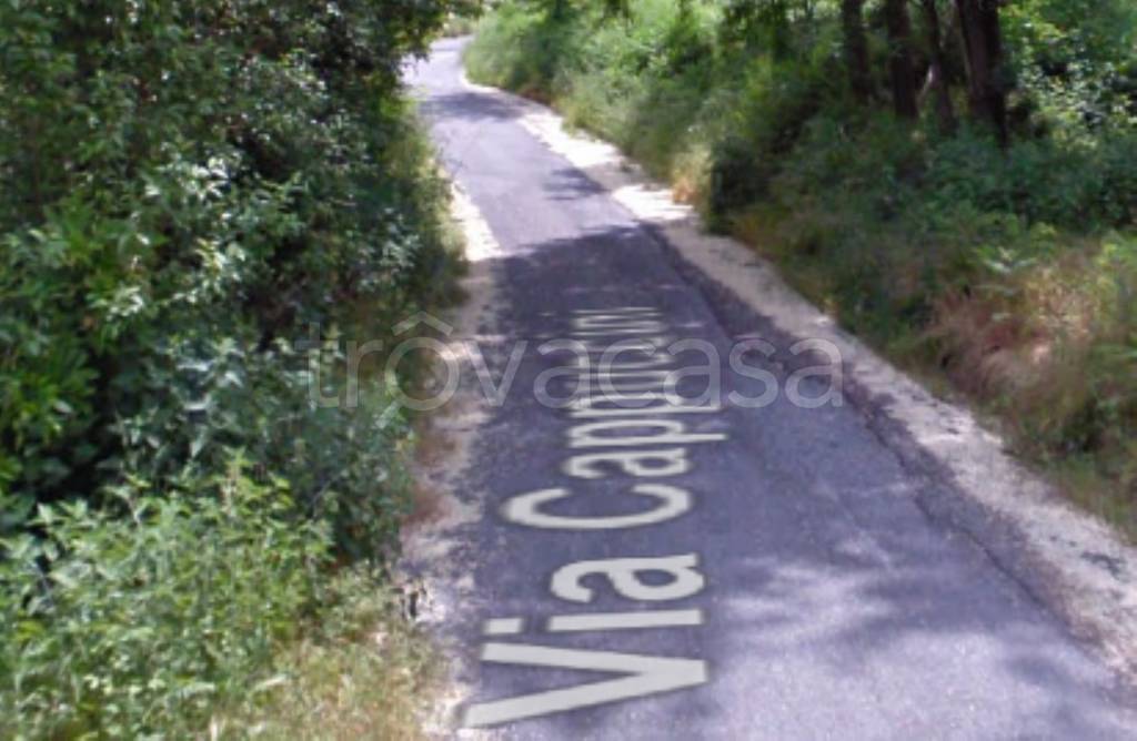 immagine annuncio 9 di 12