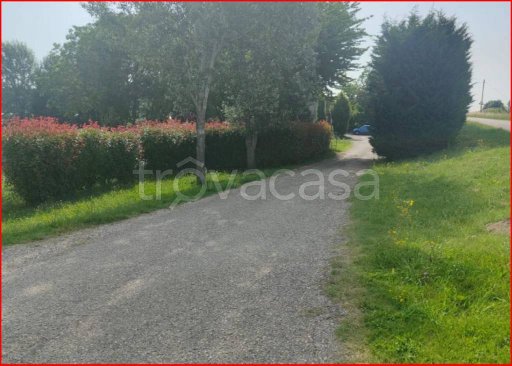immagine annuncio 4 di 12