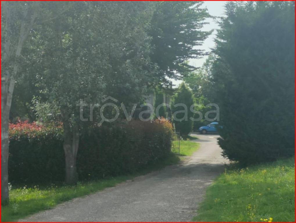 immagine annuncio 5 di 12