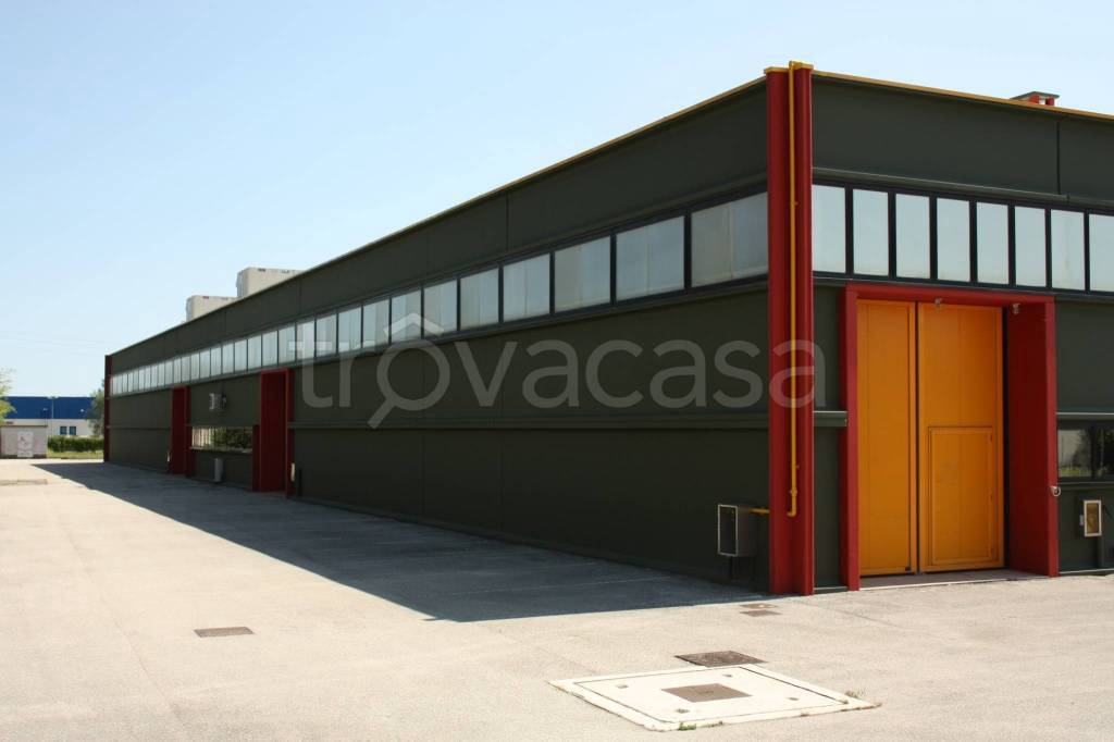 immagine annuncio 8 di 10