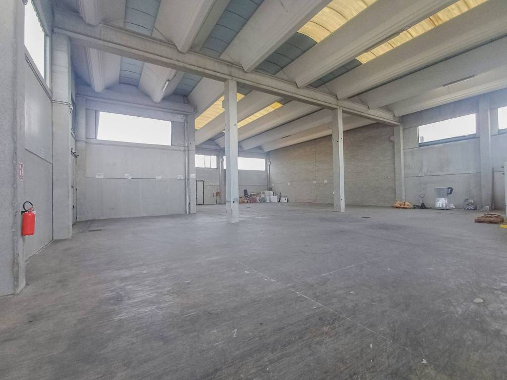 immagine annuncio 1 di 15