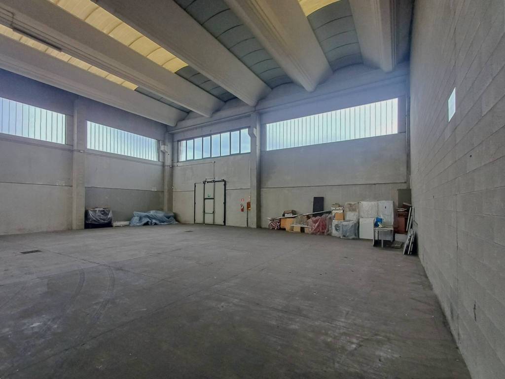 immagine annuncio 9 di 15