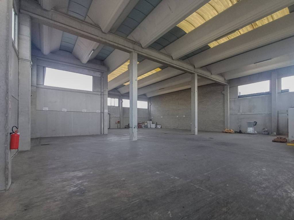 immagine annuncio 11 di 15