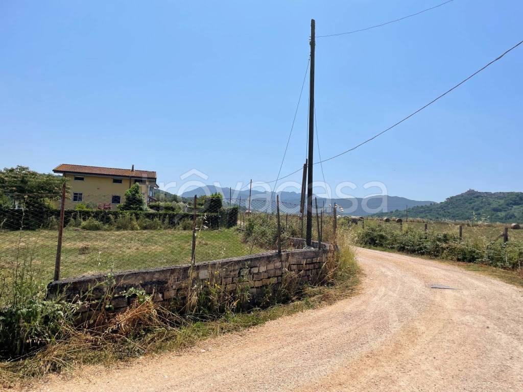 immagine annuncio 4 di 7