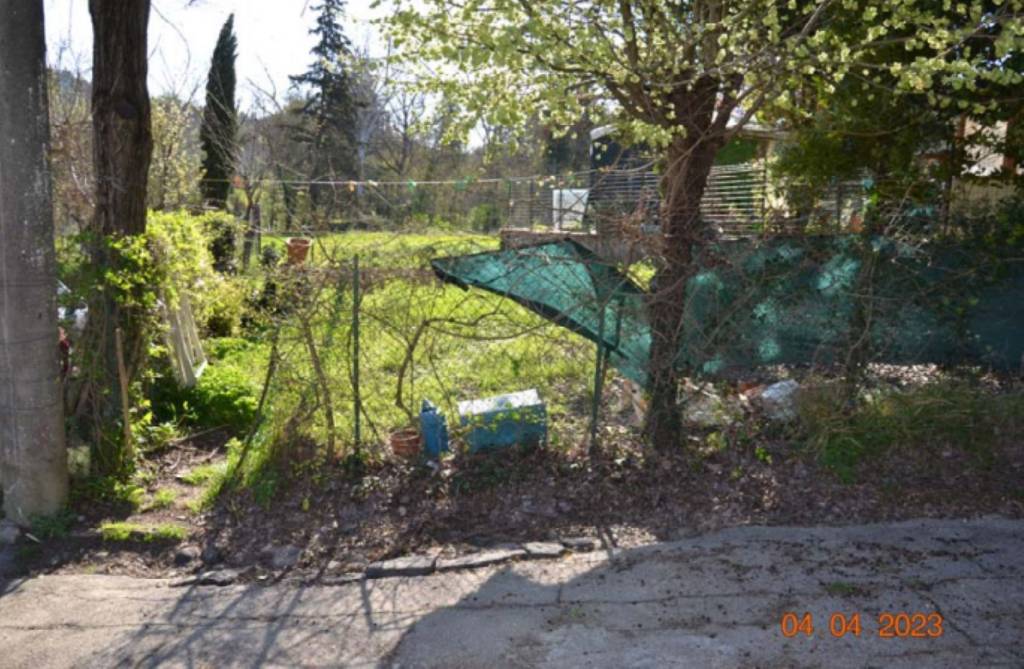 immagine annuncio 2 di 11
