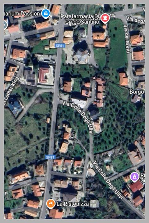 immagine annuncio 12 di 15