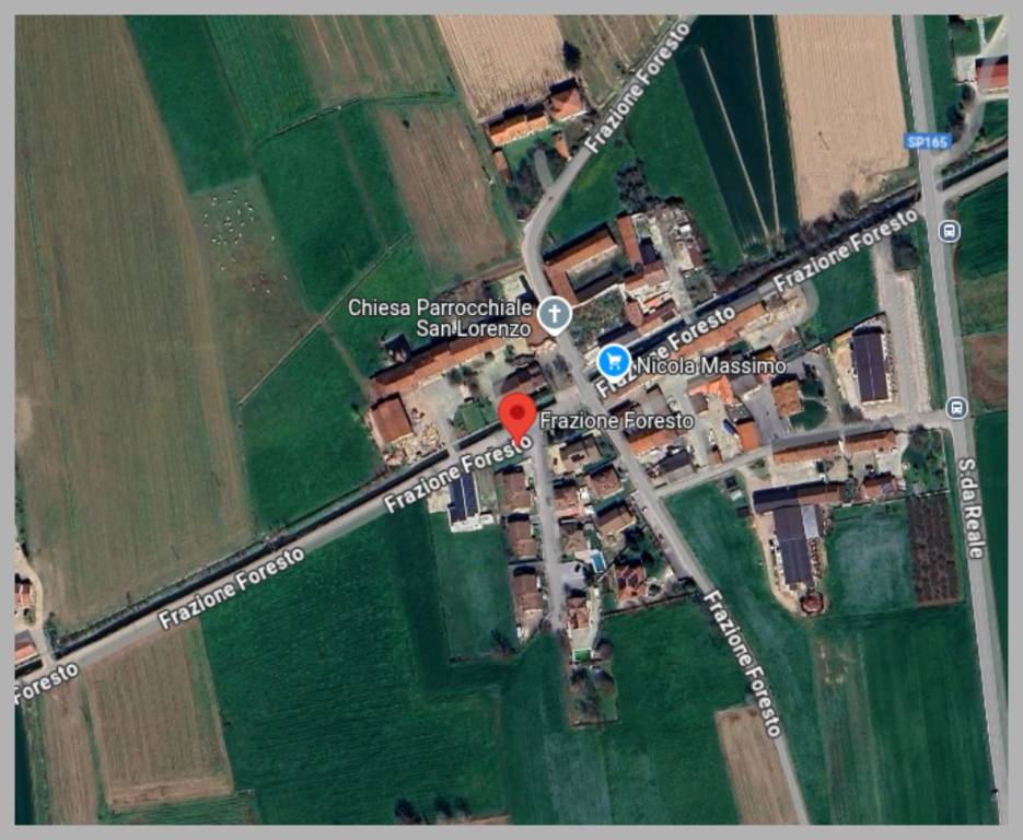 immagine annuncio 11 di 15