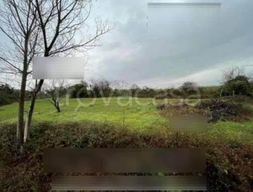 immagine annuncio 5 di 8