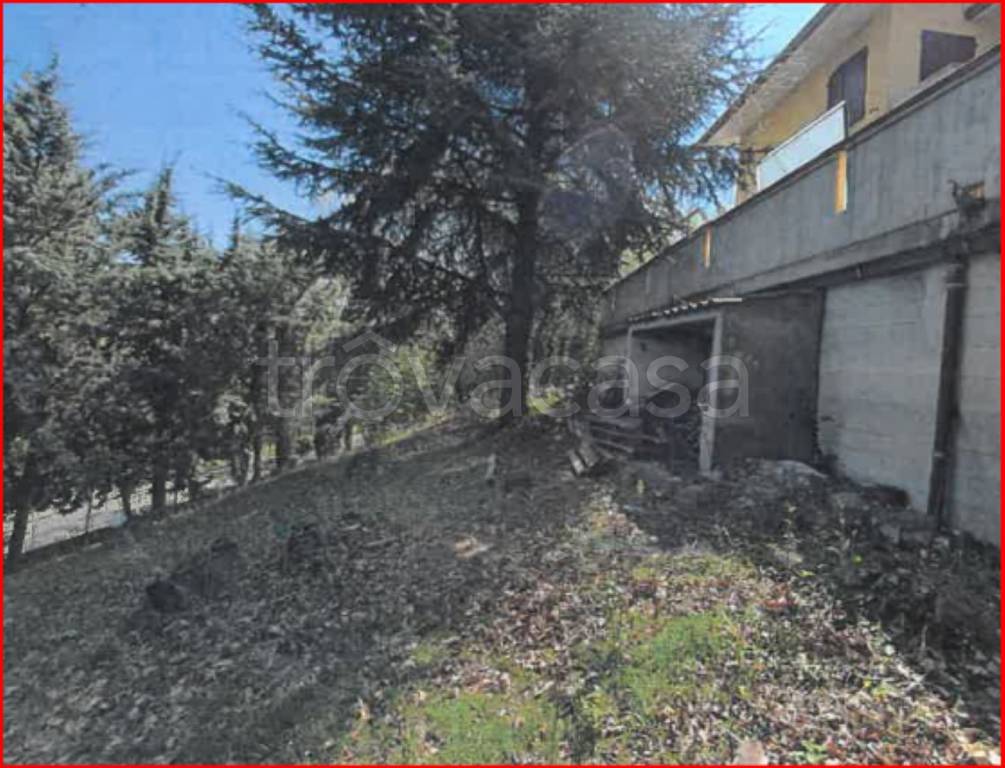 immagine annuncio 11 di 13