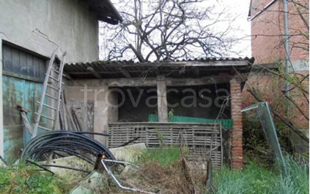 immagine annuncio 5 di 11