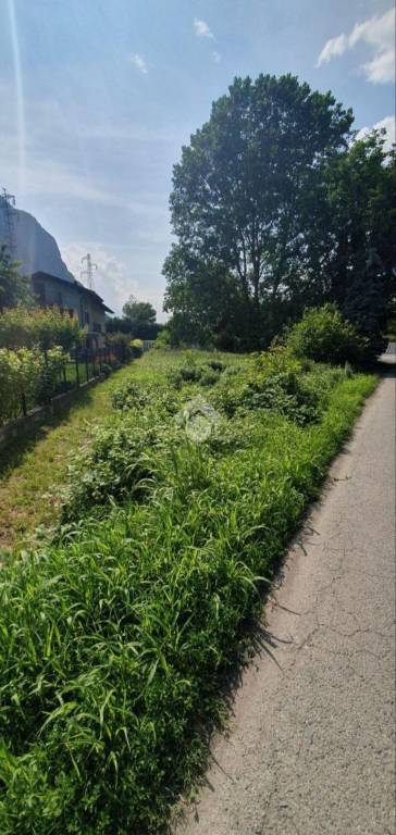 immagine annuncio 1 di 12