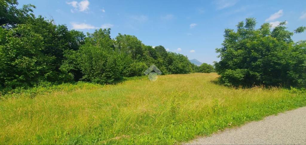 immagine annuncio 4 di 12