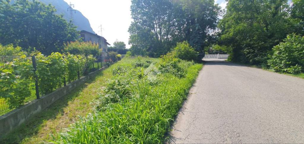 immagine annuncio 5 di 12