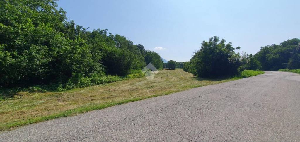 immagine annuncio 7 di 12