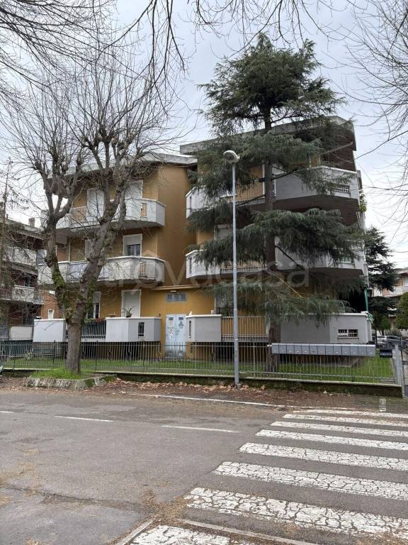 immagine annuncio 1 di 11