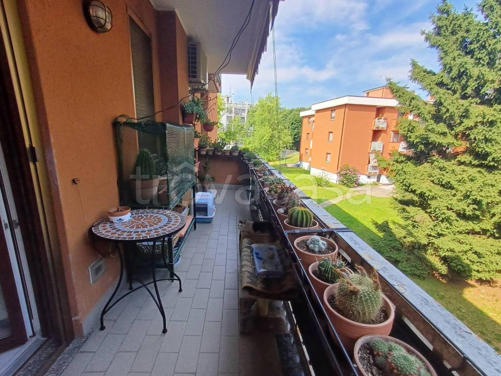 immagine annuncio 10 di 12