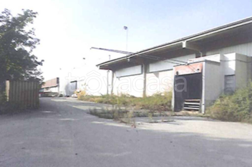 immagine annuncio 8 di 11