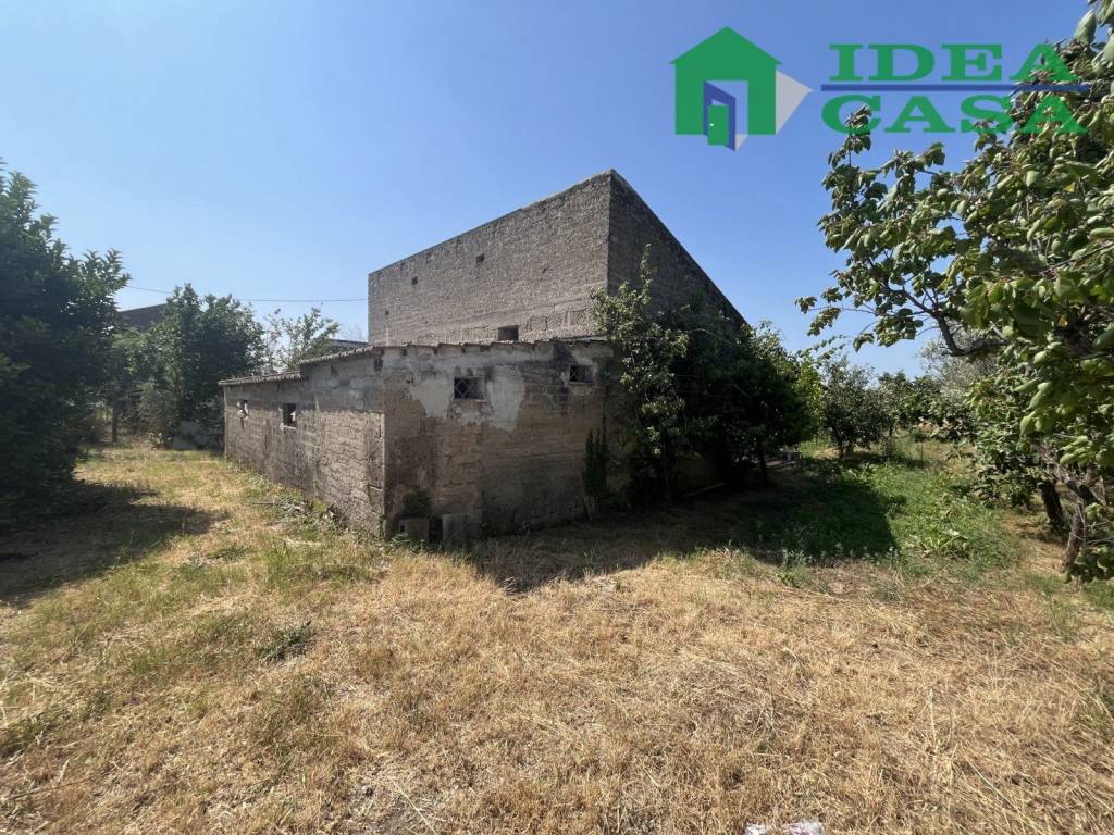 immagine annuncio 2 di 11