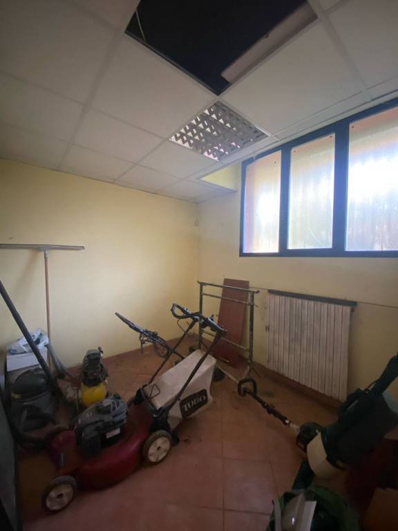 immagine annuncio 7 di 14