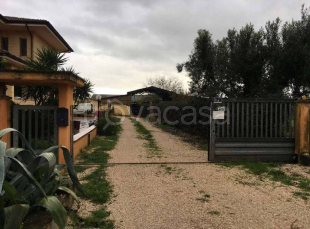 immagine annuncio 8 di 12