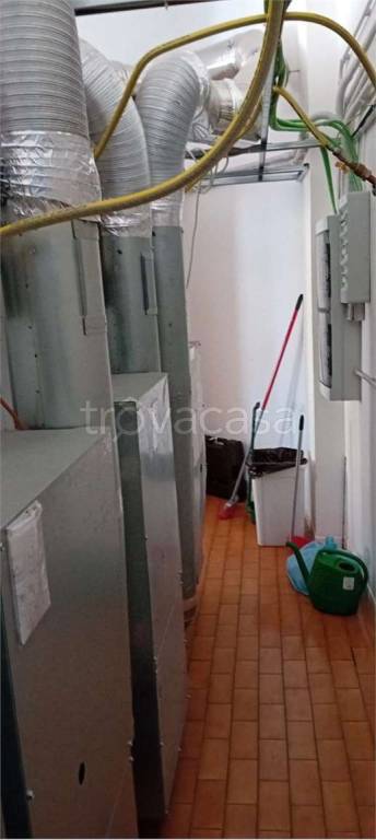 immagine annuncio 3 di 7