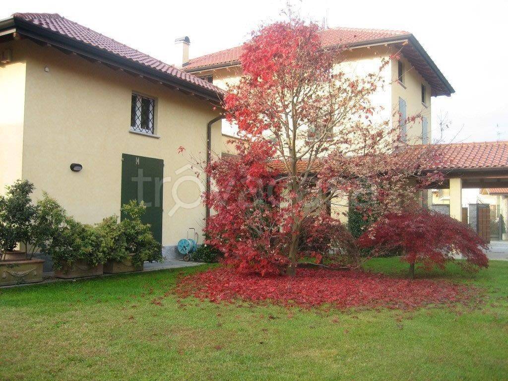 immagine annuncio 6 di 9