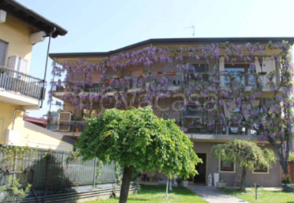 immagine annuncio 7 di 10