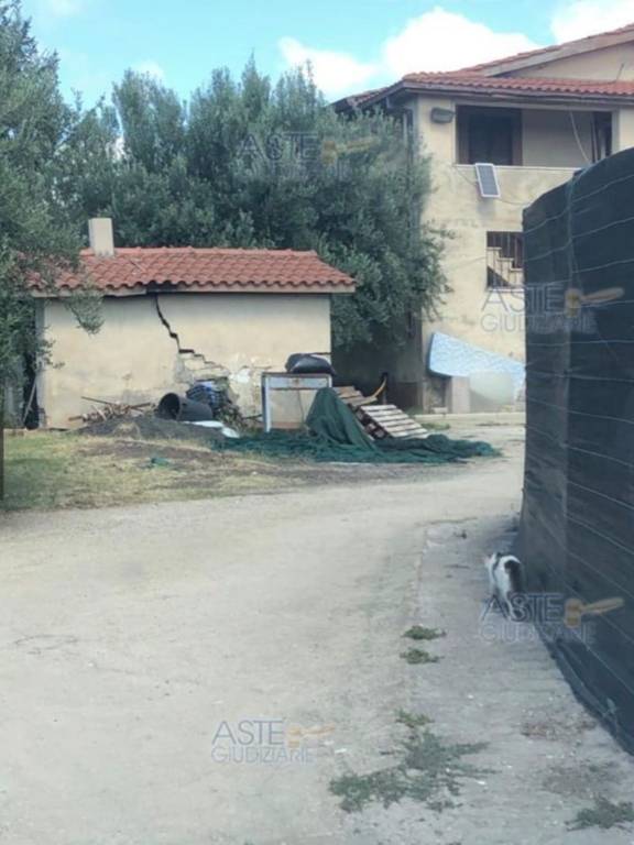 immagine annuncio 4 di 13